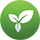 spring icon
